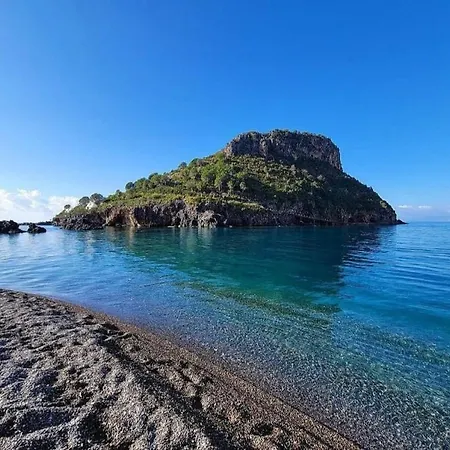 Aristea Чирелла